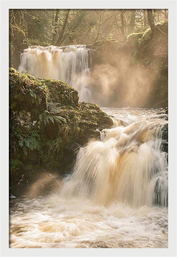 Upper Cascade Serenity