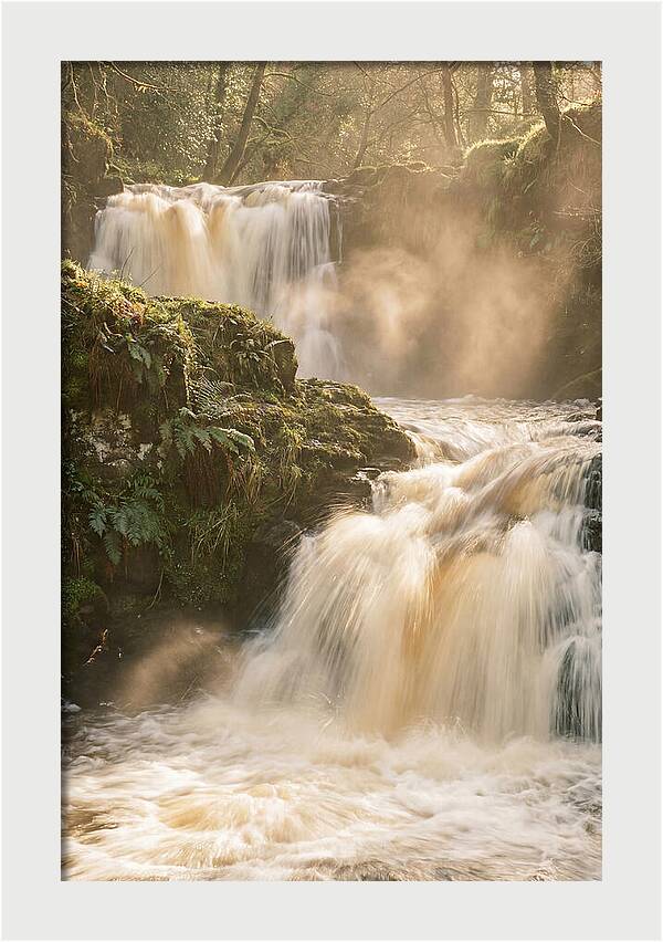 Upper Cascade Serenity