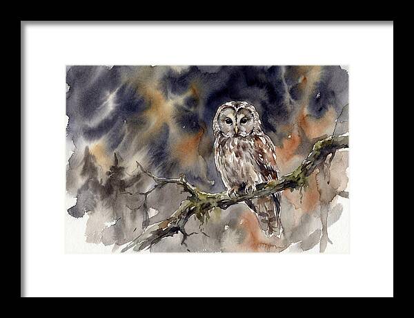 Ural Owl Perched At Dusk