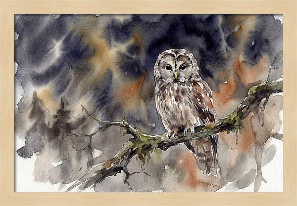Ural Owl Perched At Dusk