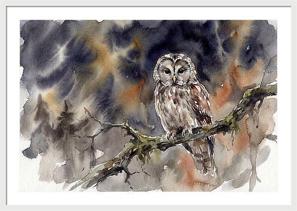 Ural Owl Perched At Dusk