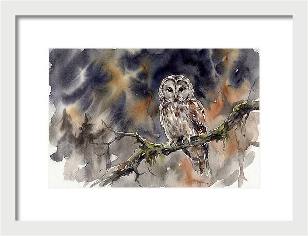 Ural Owl Perched At Dusk