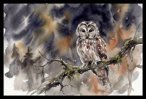 Ural Owl Perched At Dusk