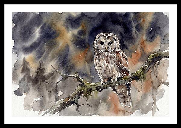Ural Owl Perched At Dusk