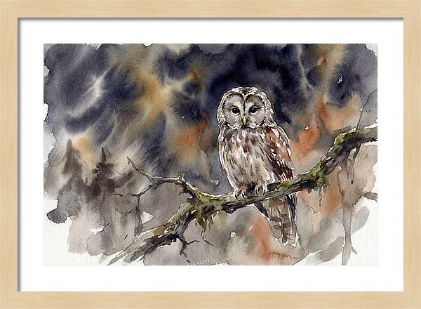 Ural Owl Perched At Dusk