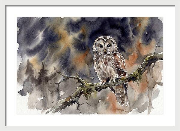 Ural Owl Perched At Dusk