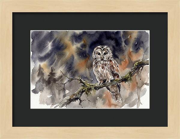 Ural Owl Perched At Dusk