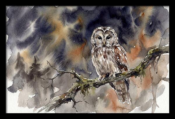 Ural Owl Perched At Dusk