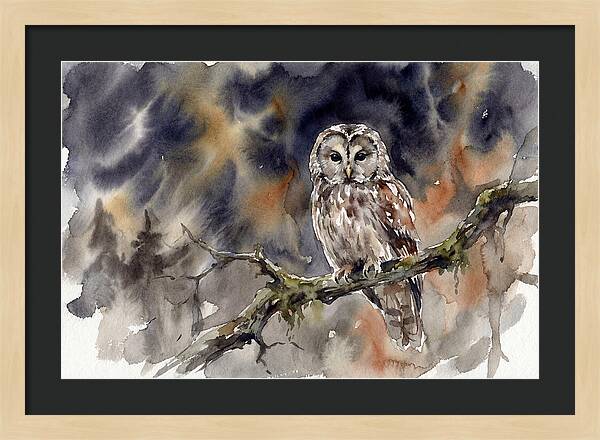 Ural Owl Perched At Dusk