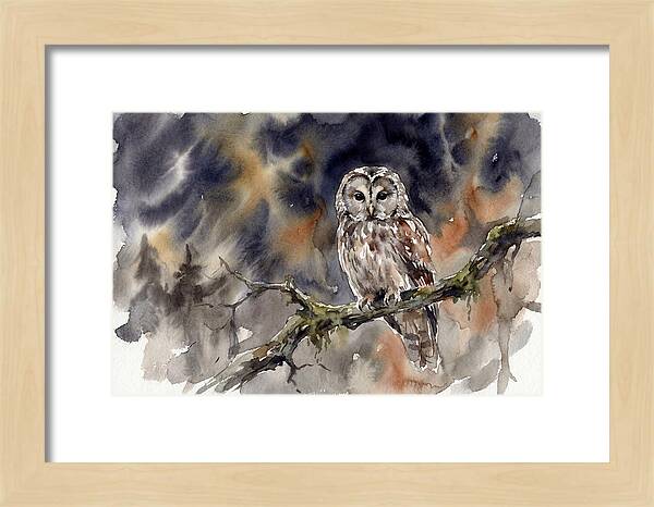 Ural Owl Perched At Dusk