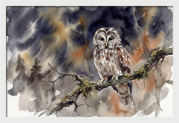 Ural Owl Perched At Dusk