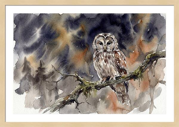 Ural Owl Perched At Dusk