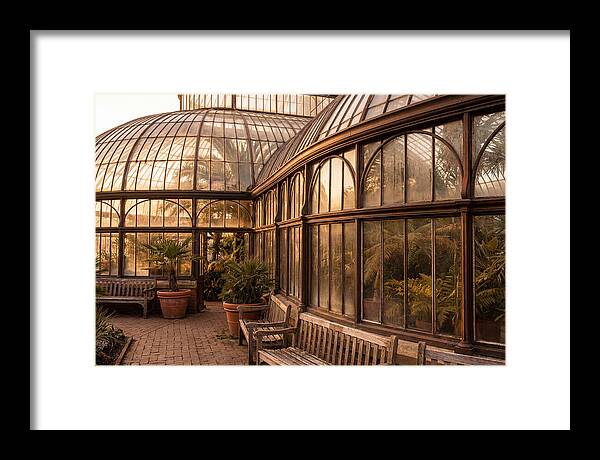 Urban Oasis A Botanical Escape