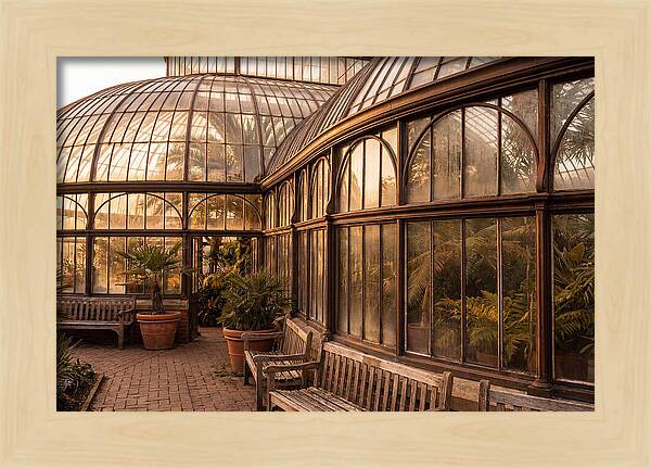 Urban Oasis A Botanical Escape