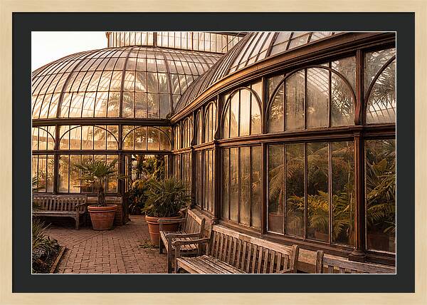 Urban Oasis A Botanical Escape