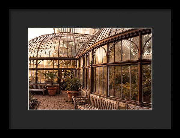 Urban Oasis A Botanical Escape