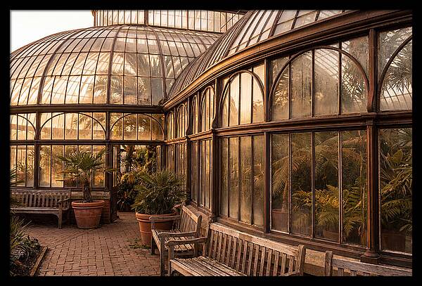 Urban Oasis A Botanical Escape