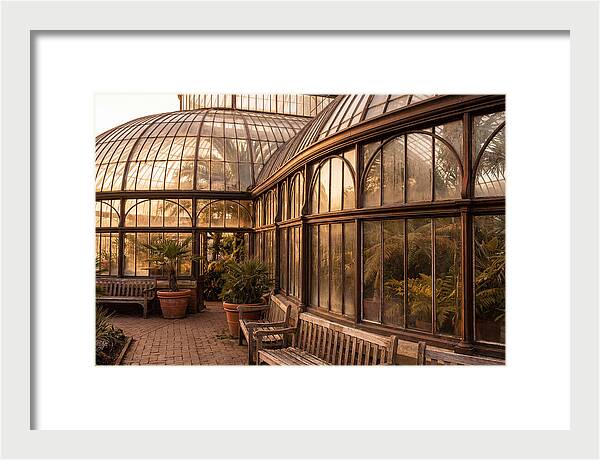 Urban Oasis A Botanical Escape