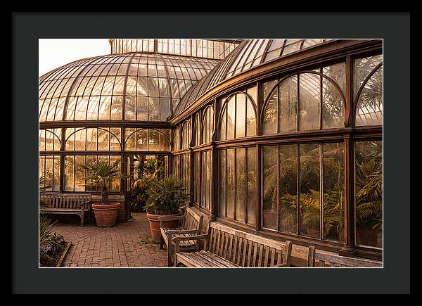 Urban Oasis A Botanical Escape