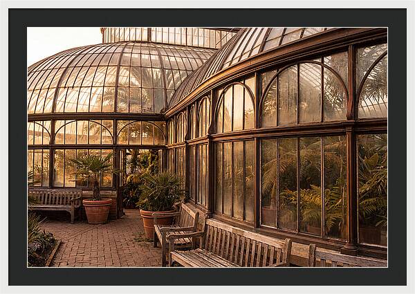 Urban Oasis A Botanical Escape