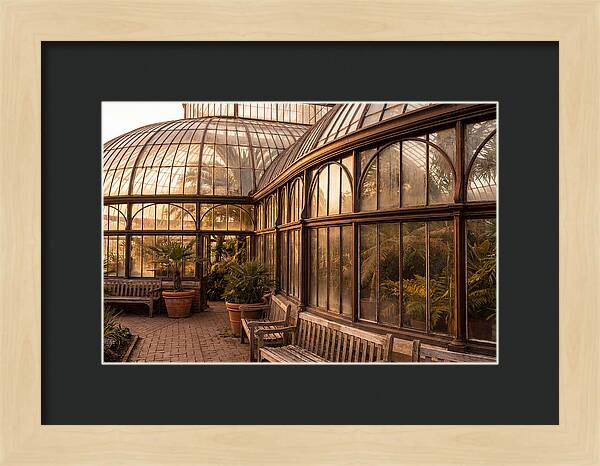 Urban Oasis A Botanical Escape
