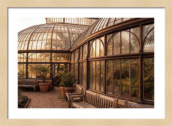 Urban Oasis A Botanical Escape