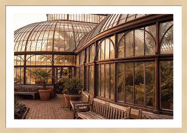 Urban Oasis A Botanical Escape