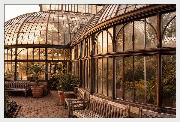 Urban Oasis A Botanical Escape