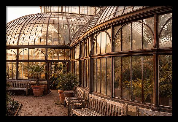 Urban Oasis A Botanical Escape