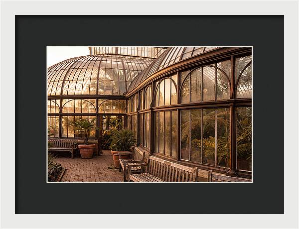 Urban Oasis A Botanical Escape