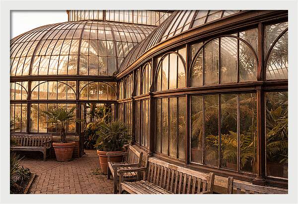 Urban Oasis A Botanical Escape