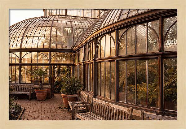 Urban Oasis A Botanical Escape