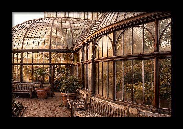 Urban Oasis A Botanical Escape