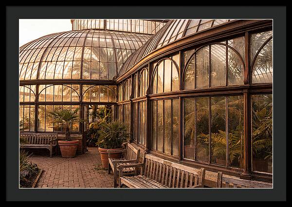 Urban Oasis A Botanical Escape
