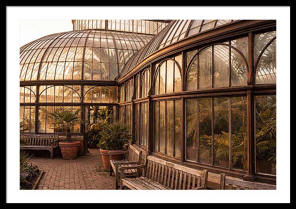 Urban Oasis A Botanical Escape