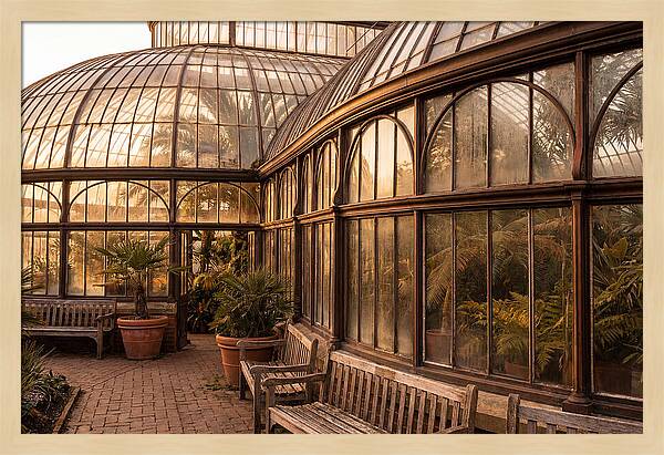 Urban Oasis A Botanical Escape