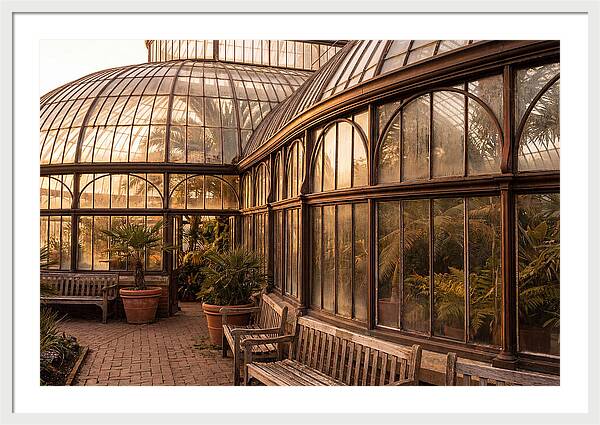 Urban Oasis A Botanical Escape