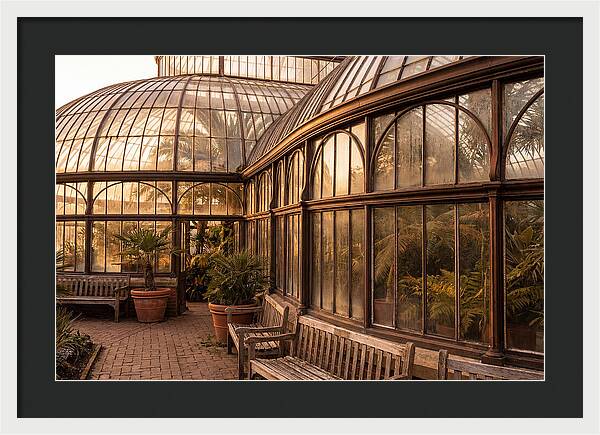 Urban Oasis A Botanical Escape
