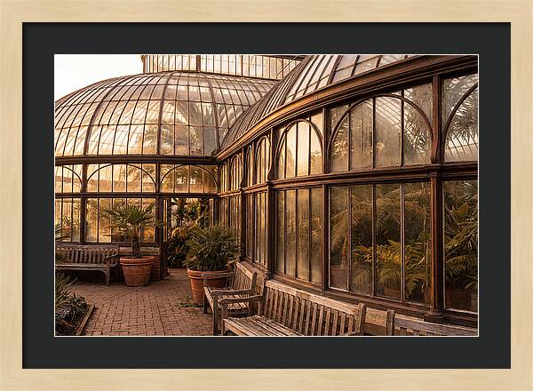 Urban Oasis A Botanical Escape