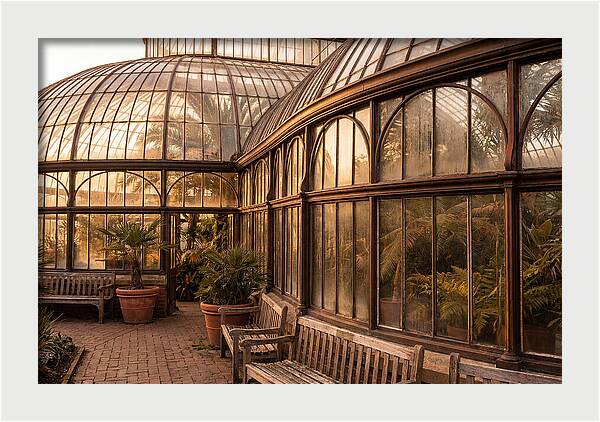 Urban Oasis A Botanical Escape