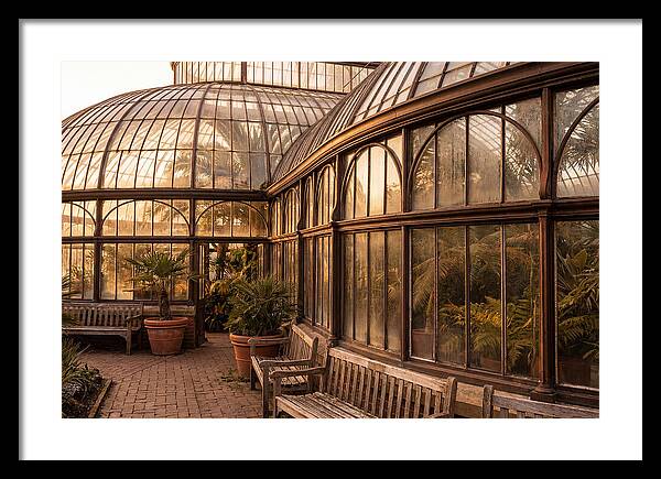 Urban Oasis A Botanical Escape