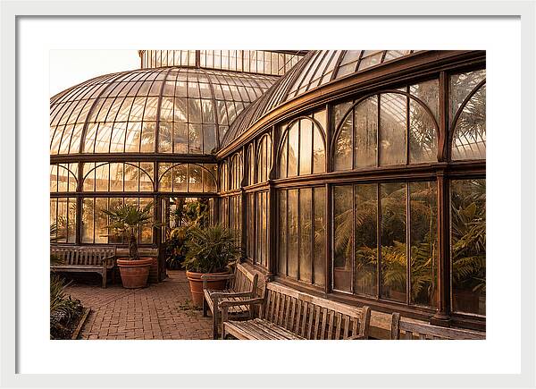 Urban Oasis A Botanical Escape
