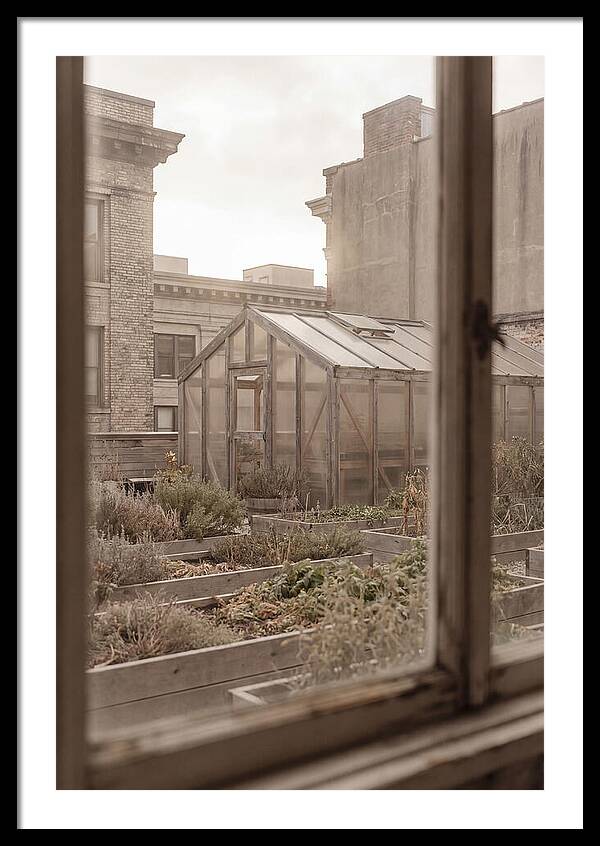 Urban Oasis Above The City