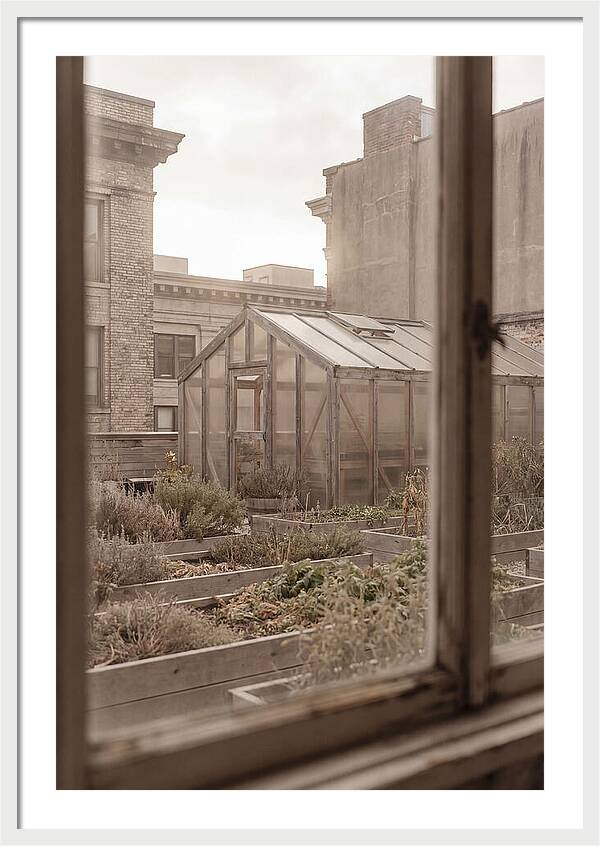 Urban Oasis Above The City