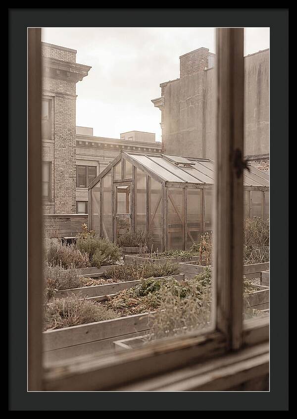 Urban Oasis Above The City