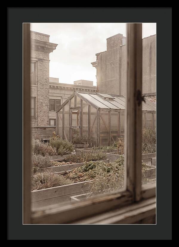 Urban Oasis Above The City