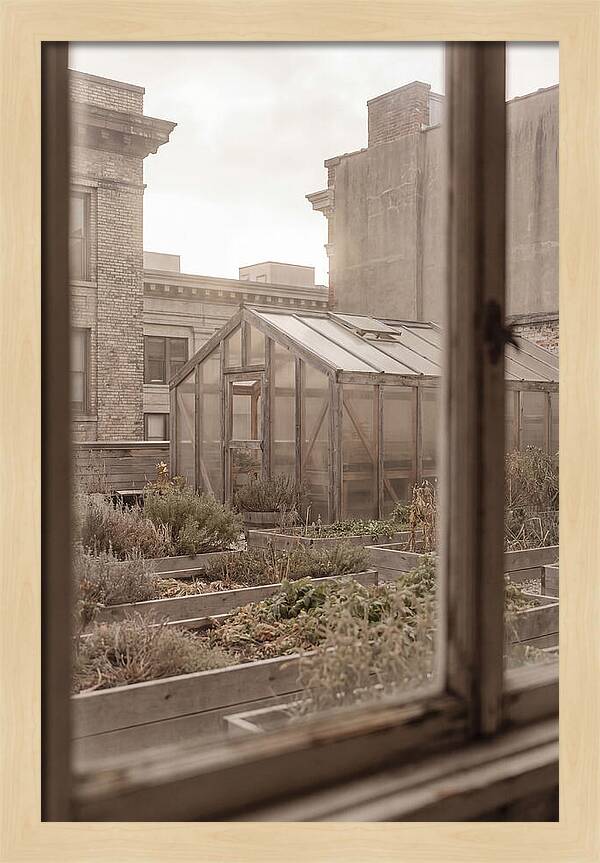 Urban Oasis Above The City
