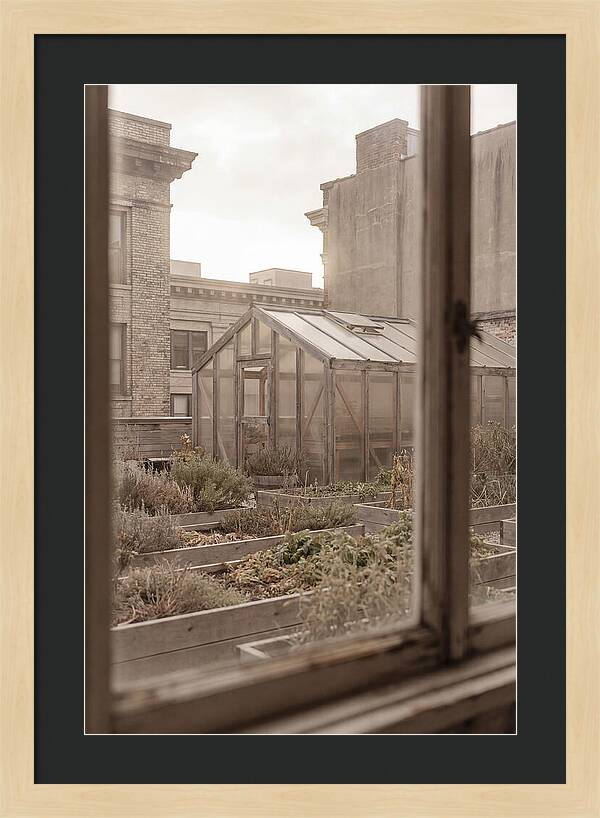Urban Oasis Above The City