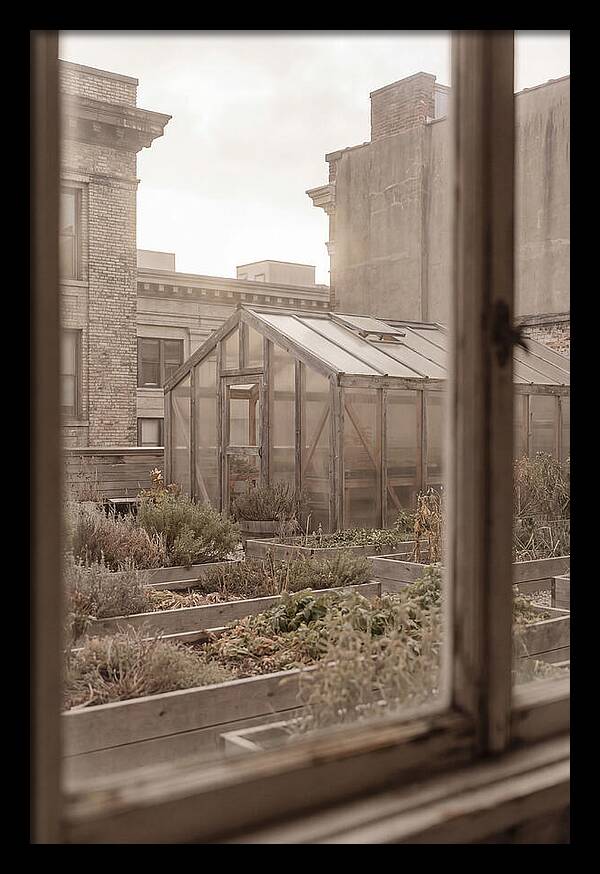 Urban Oasis Above The City