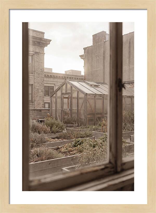 Urban Oasis Above The City